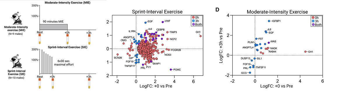 Experimental design for moderate and sprint interval exercise and their gene expression changes.