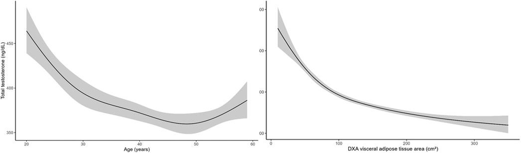 Two graphs show a U-shaped curve with age and an exponential decay.