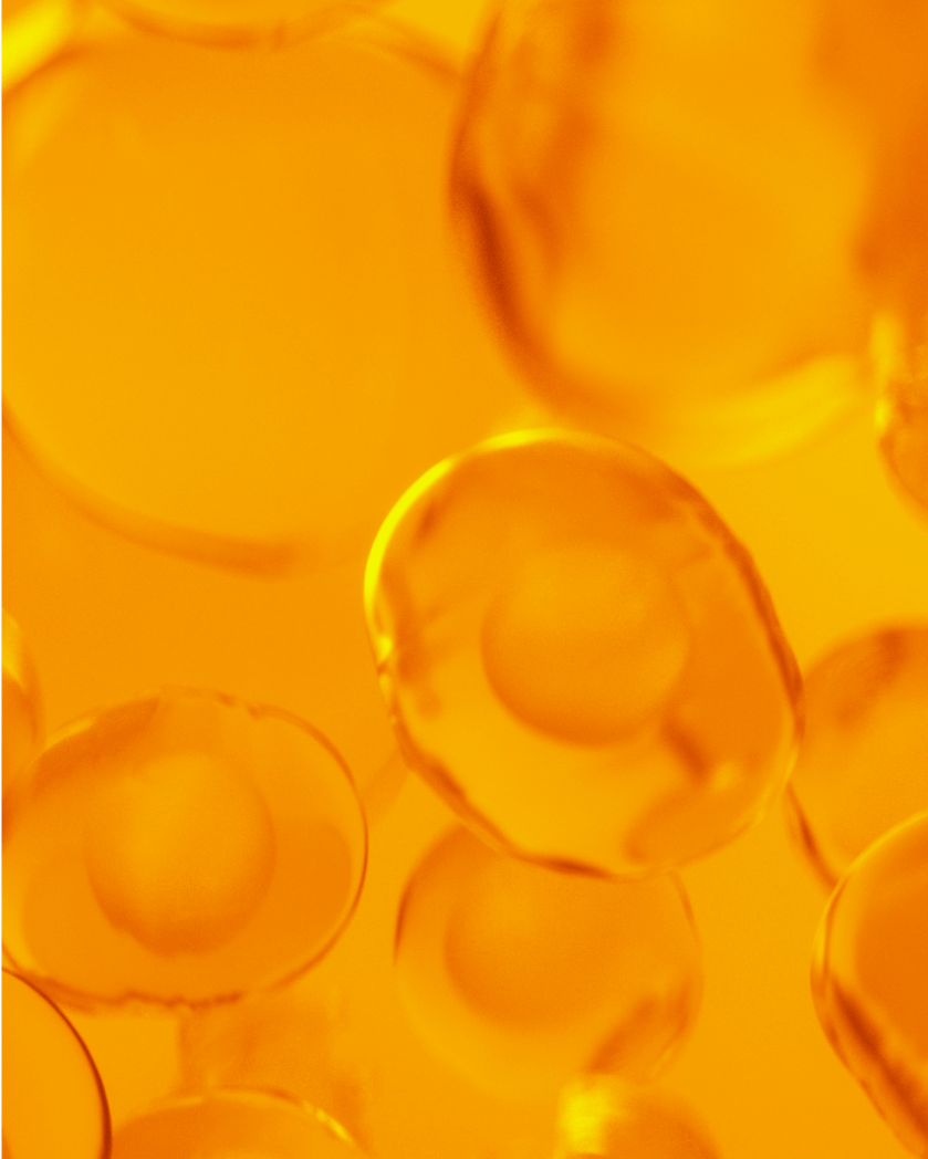 Mitochondrial Energy Production