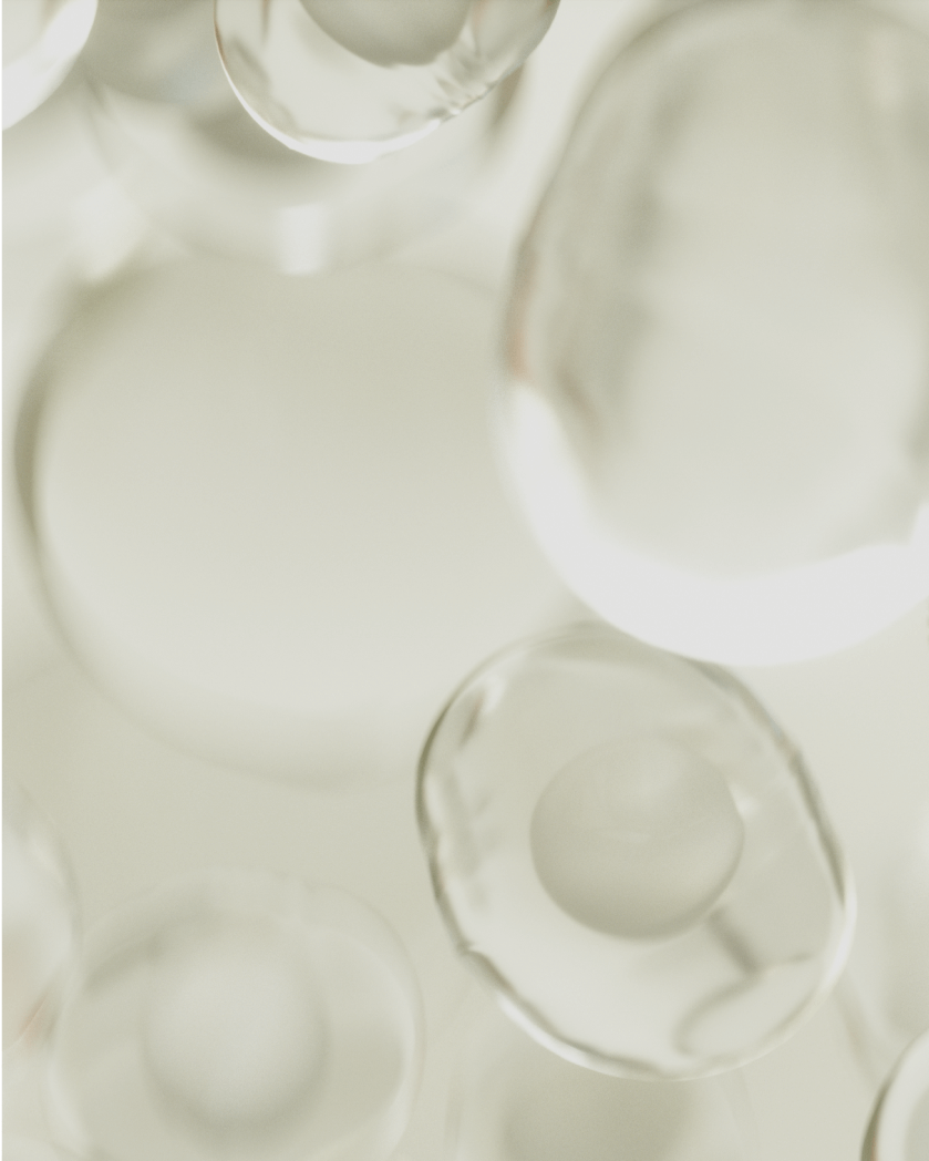 Protein Aggregation