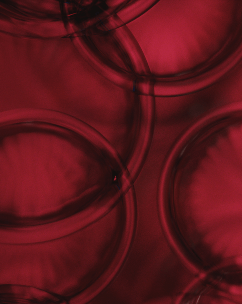 Cellular senescence & inflammation