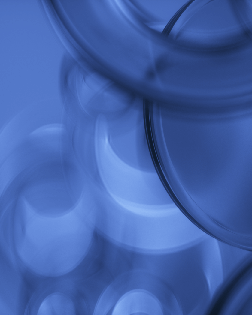 Autophagy Enhancement