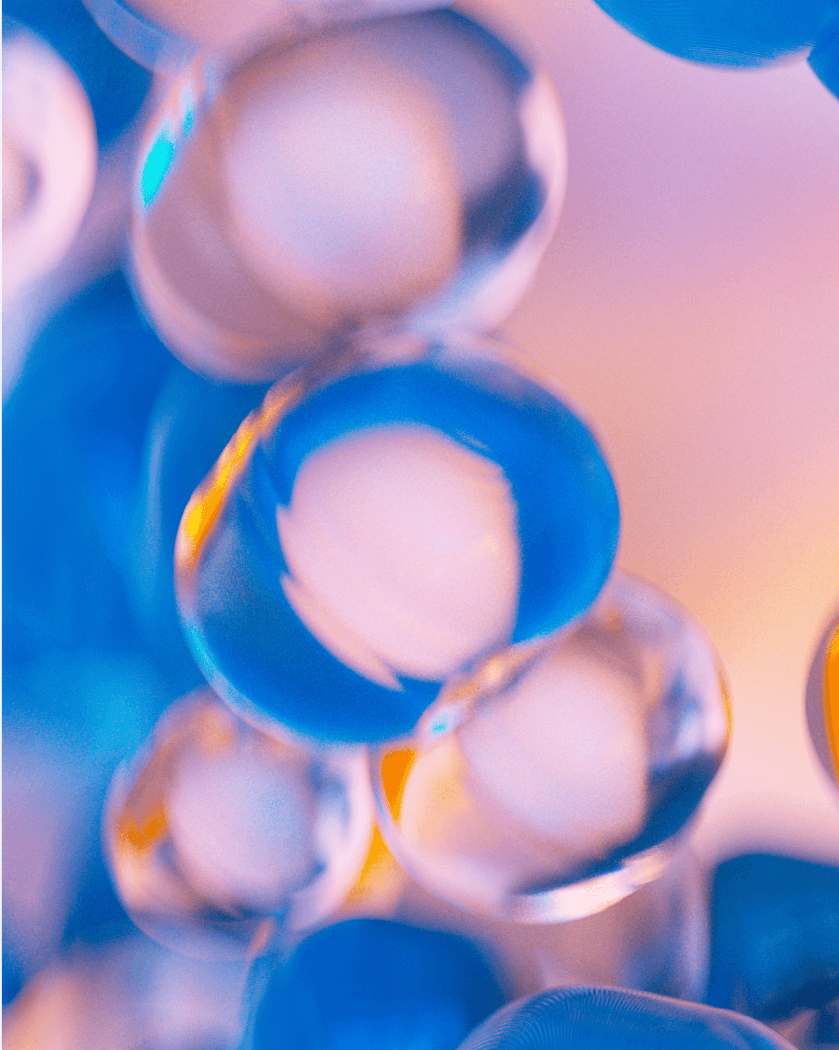 Stem Cell Functionality