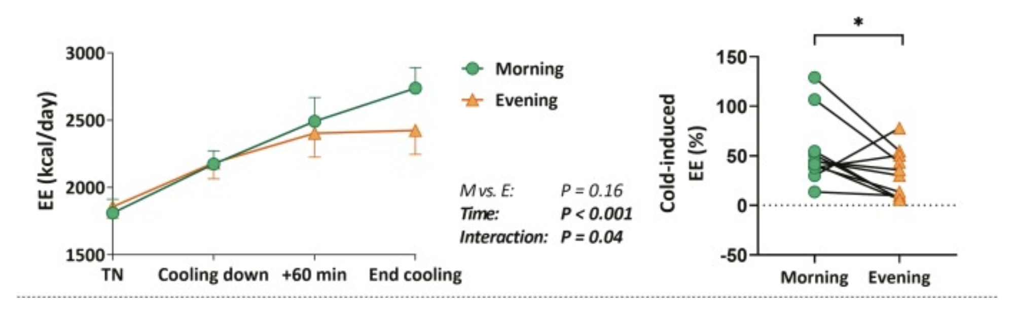 Cold-Induced Energy Expenditure