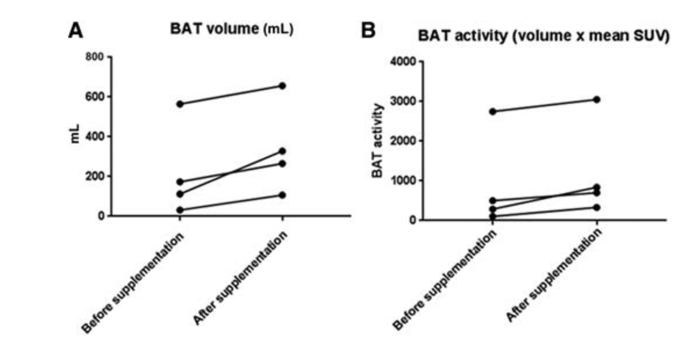Changes in brown adipose tissue (BAT) volume (A) and BAT metabolic activity (B) in four patients before and after melatonin replacement therapy