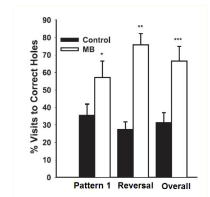 Methylene Blue Spatial Memory Testing