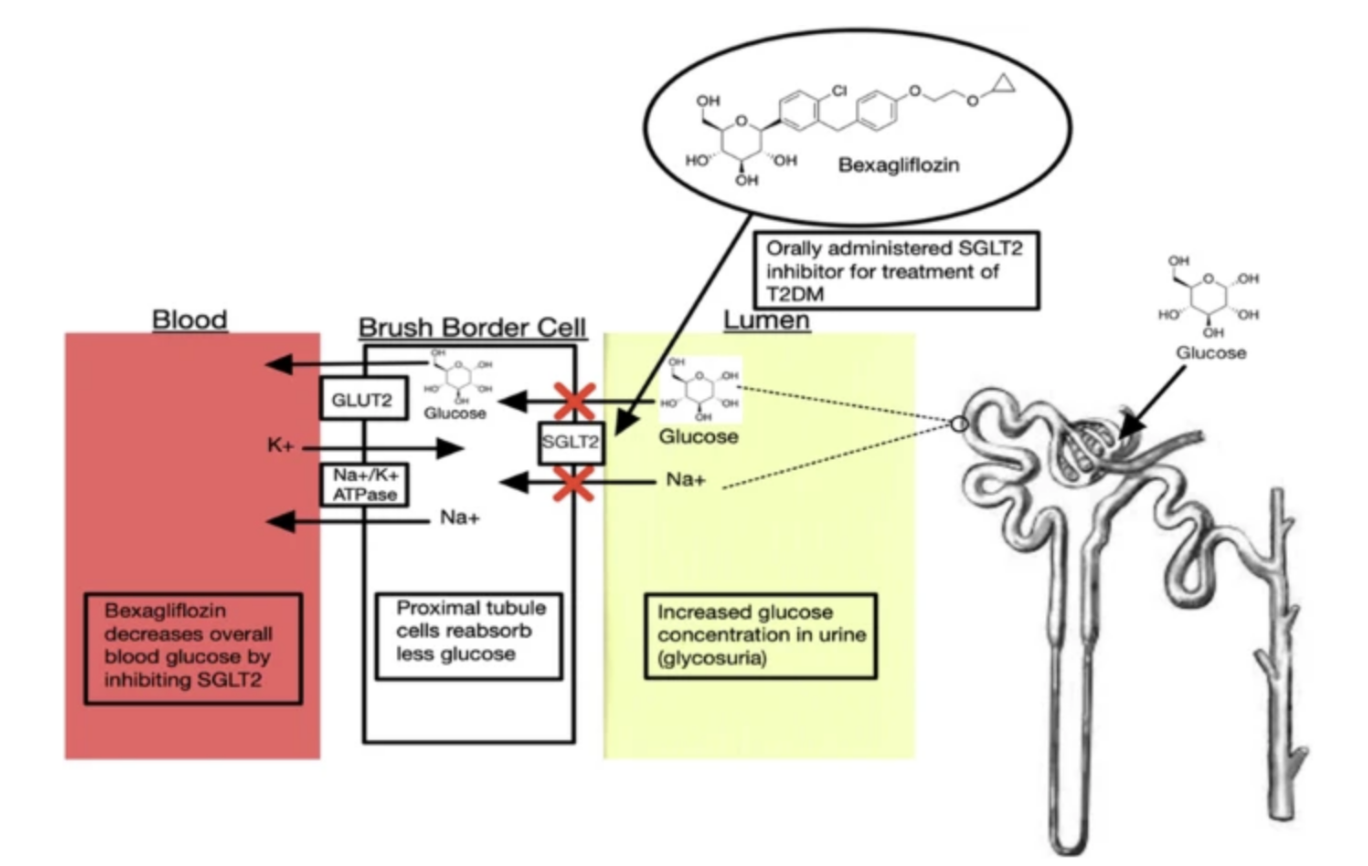 Screenshot 2025-11-01 at 1.52.18 PM.png