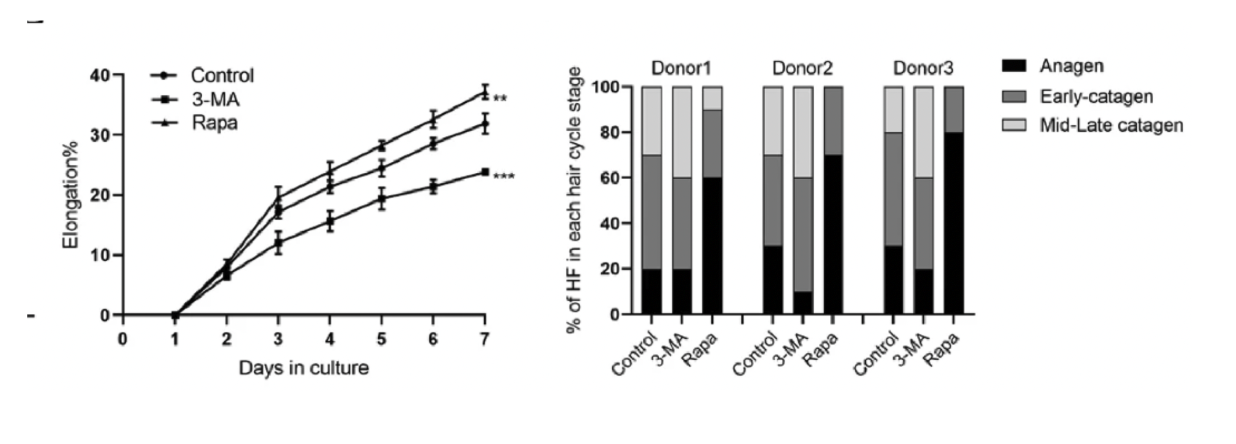 Screenshot 2025-12-06 at 5.52.40 PM.png