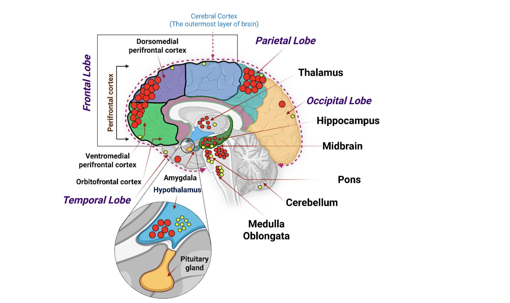 Screenshot 2026-01-17 at 6.00.50 PM.png