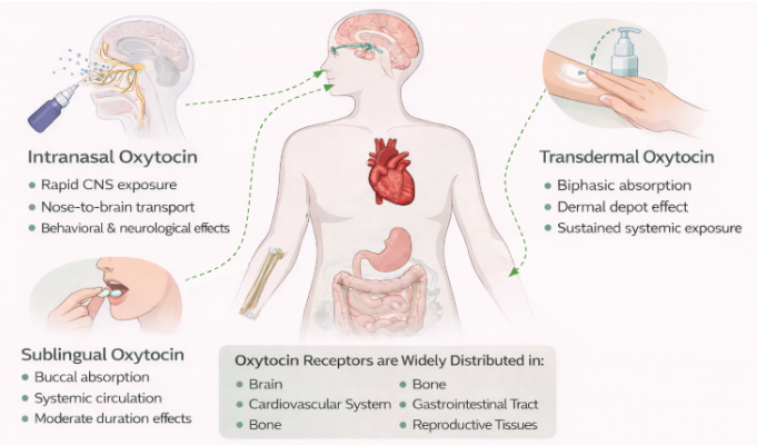 oxytocin modes of delivery and biological effects