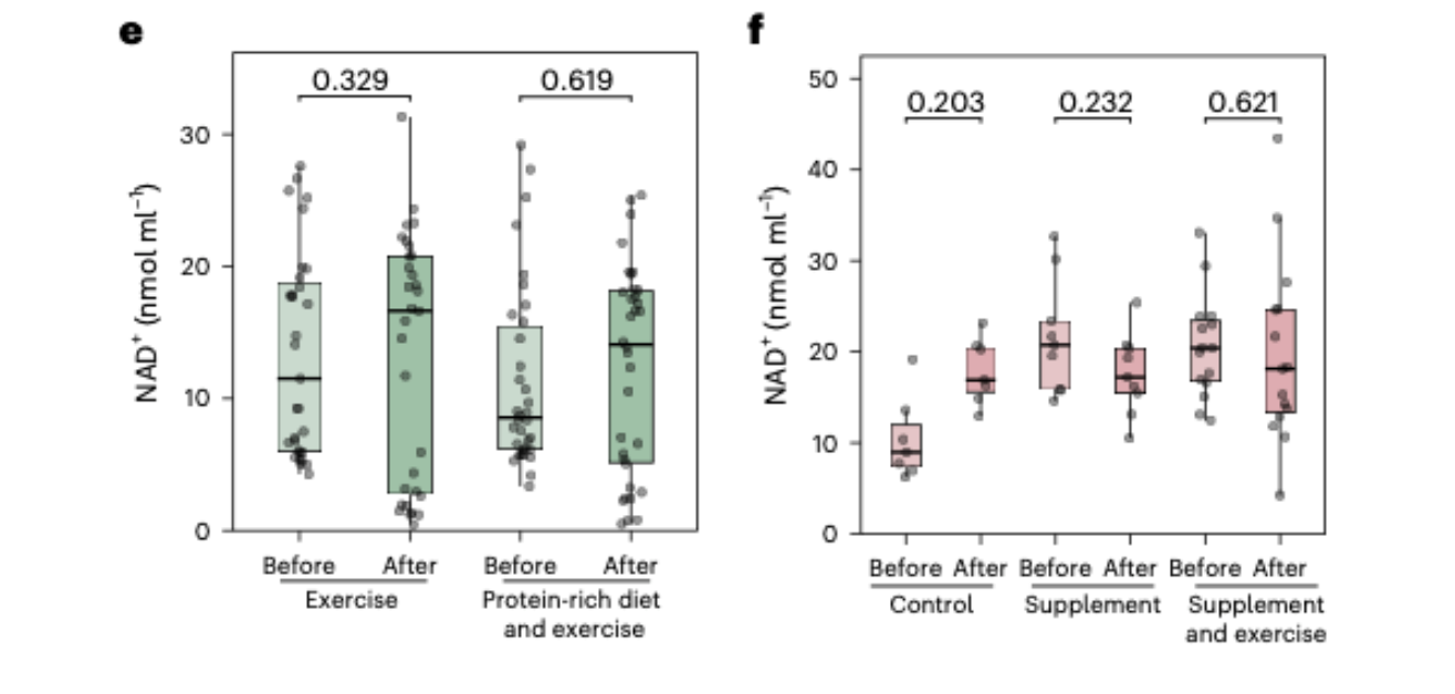 Box plots show NAD+ levels before and after exercise, diet, and supplement interventions.