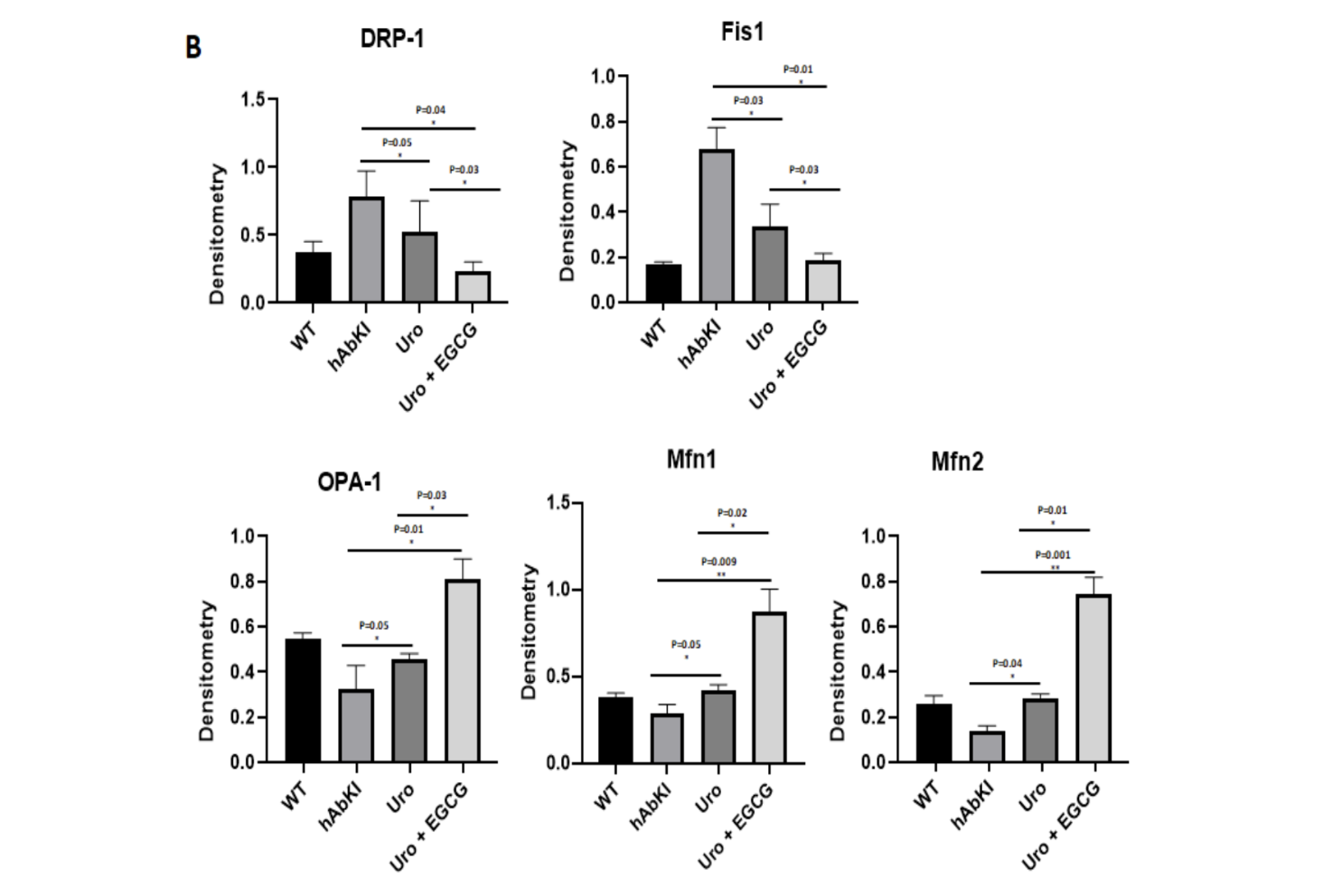 Mitochondrial Dynamics: Rebalancing Fission and Fusion
