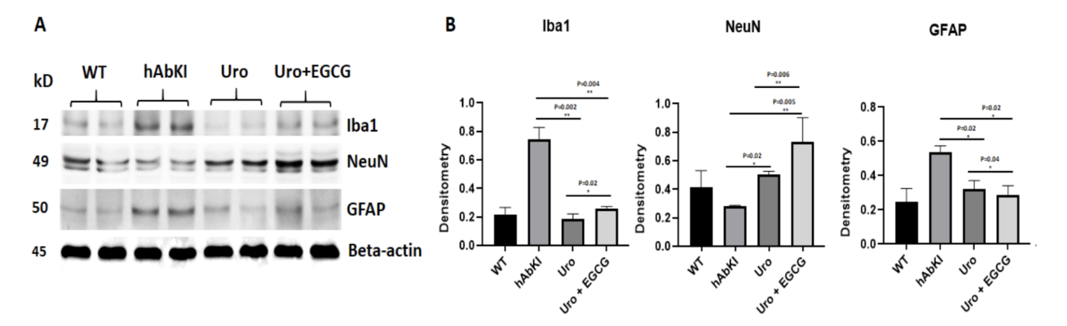 Neuroinflammation falls and neuronal survival improves simultaneously