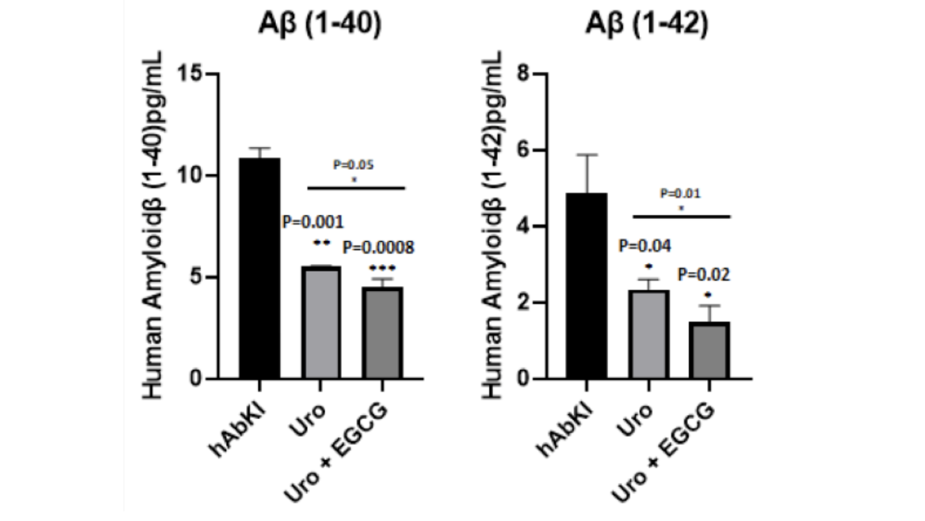 Amyloid-beta levels decline with treatment