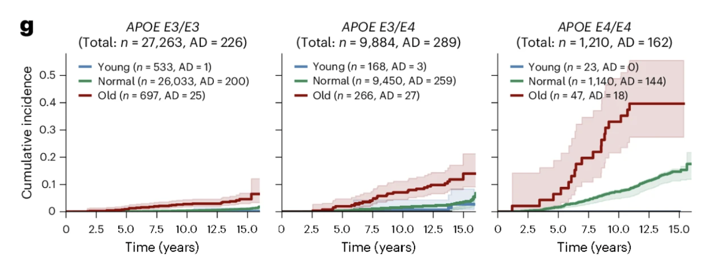 Kaplan-Meier plots show AD cumulative incidence across three APOE genotypes and age groups.