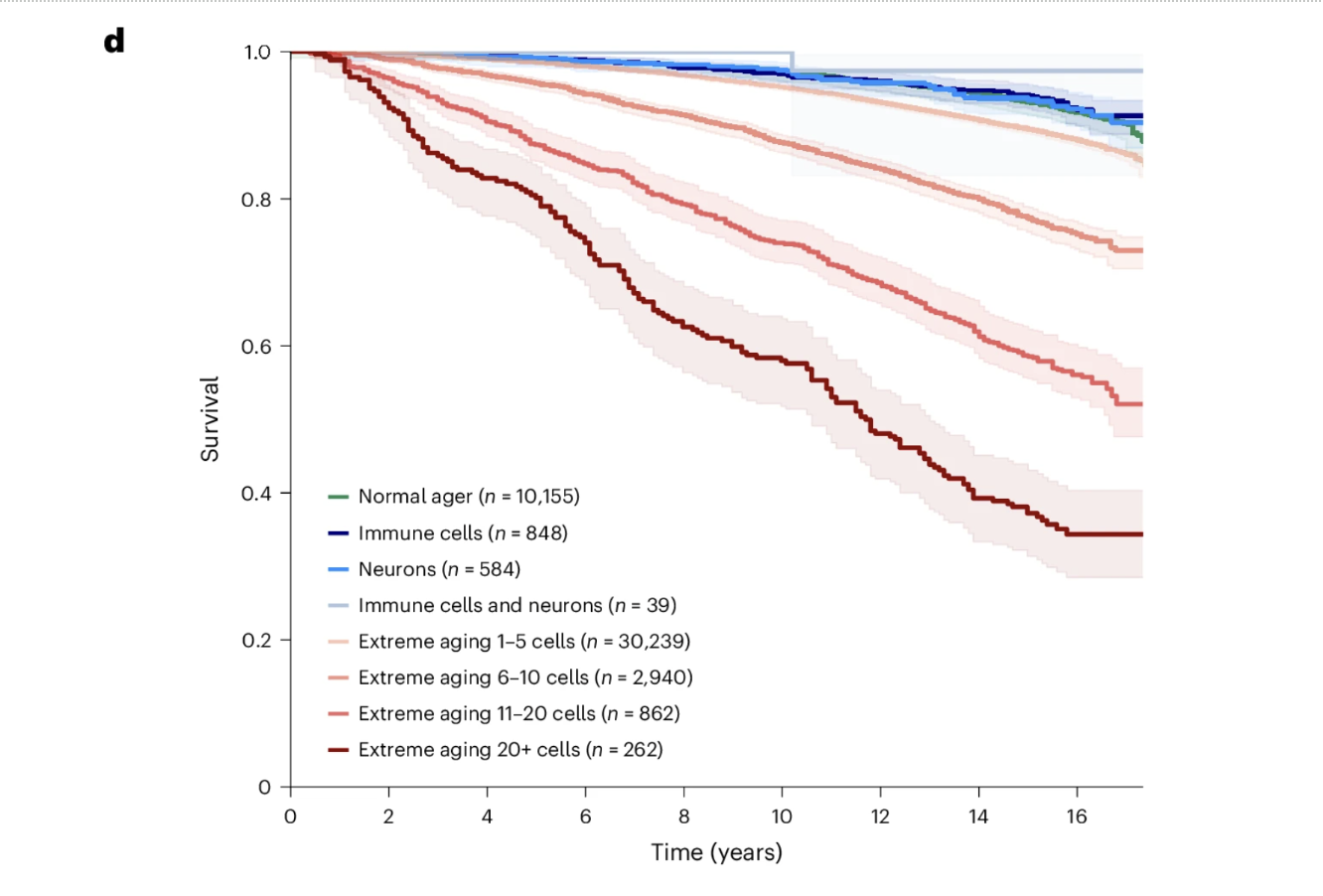 Survival curve illustrates survival probability over 16 years across different cell aging groups.