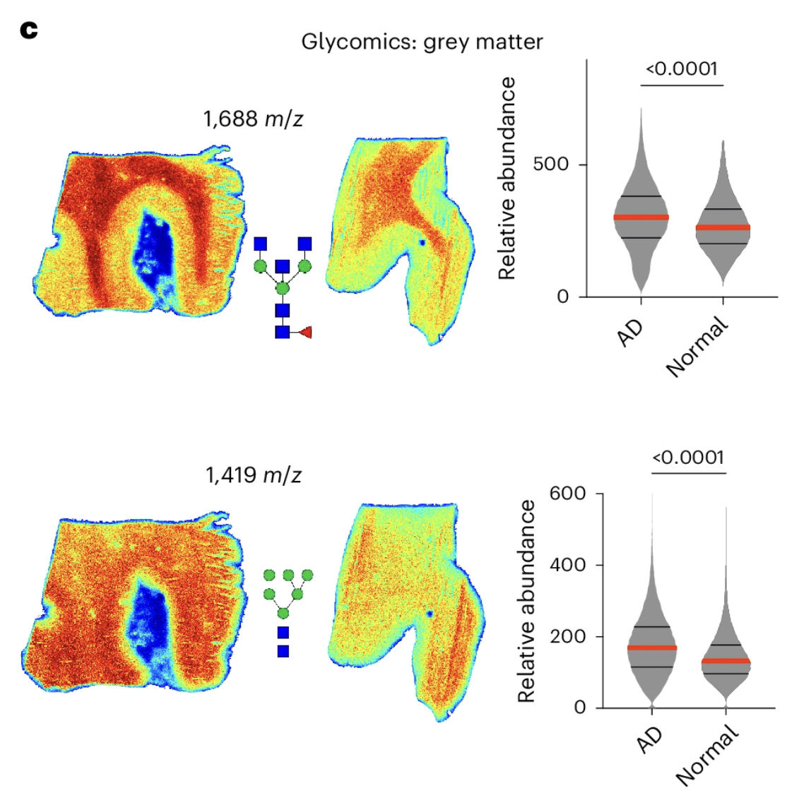 Glycomics heat maps and violin plots show glycan abundance in grey matter, comparing AD and normal.