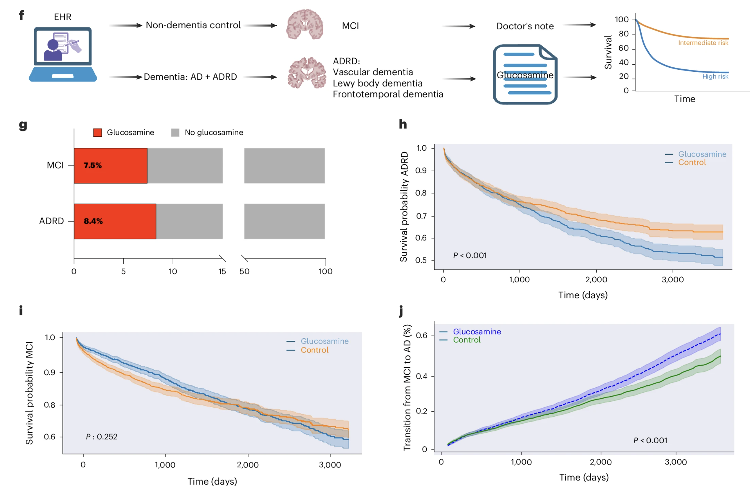 Scientific figure: study design, glucosamine's effect on dementia survival and progression, with charts.