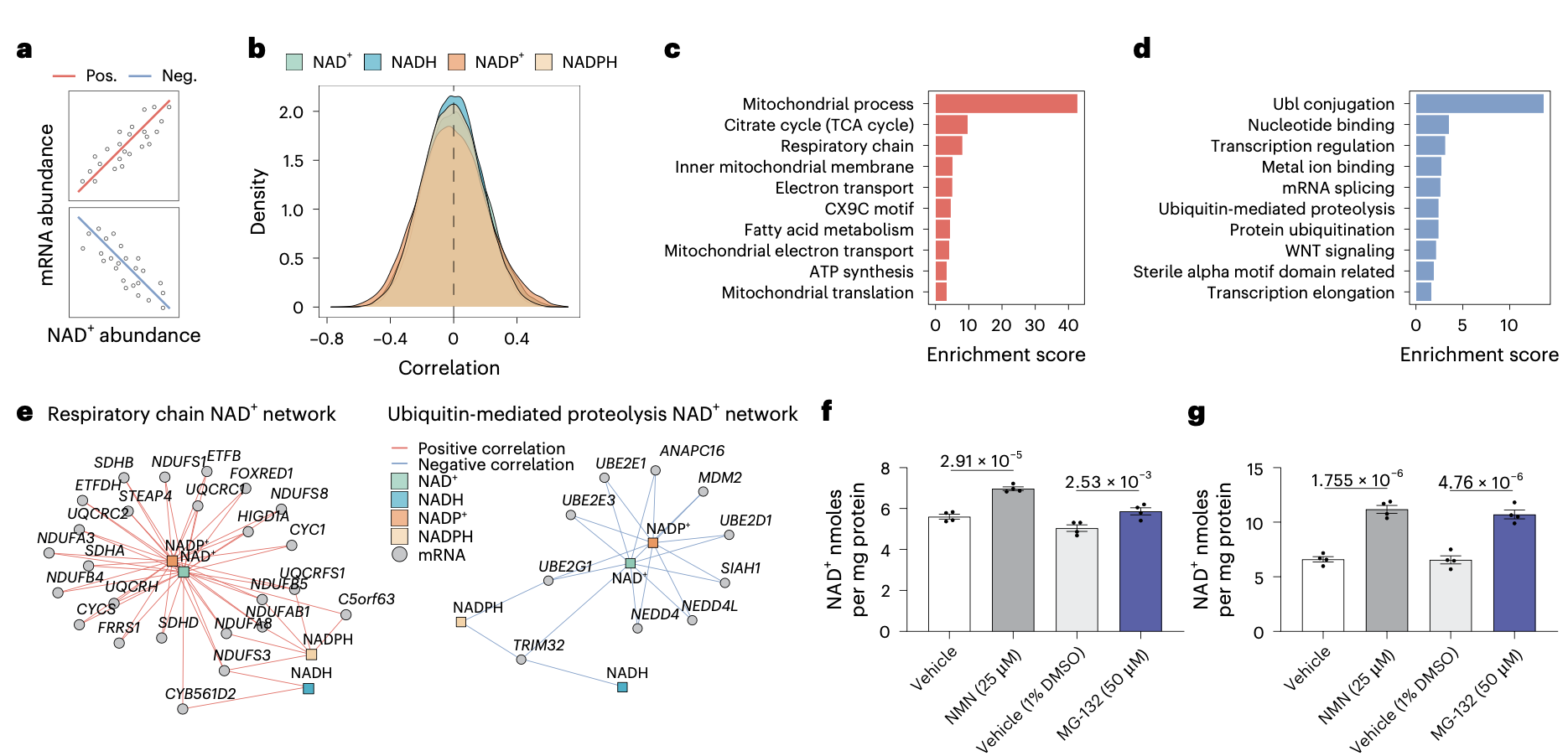 A multi-panel scientific figure showing NAD+ related correlation plots, enrichment scores, and content.