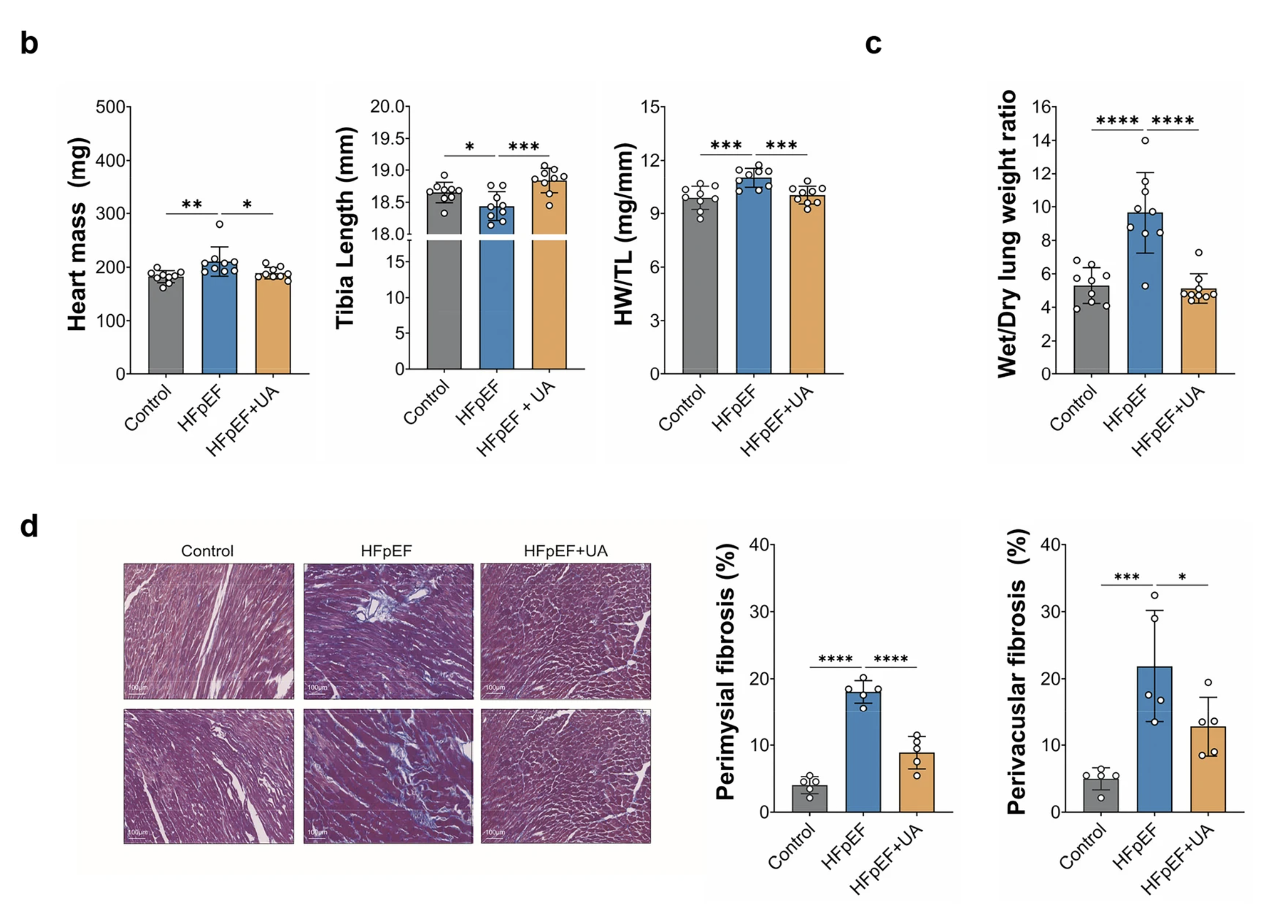 Scientific graphs and tissue images compare physiological markers and fibrosis in three treatment groups.