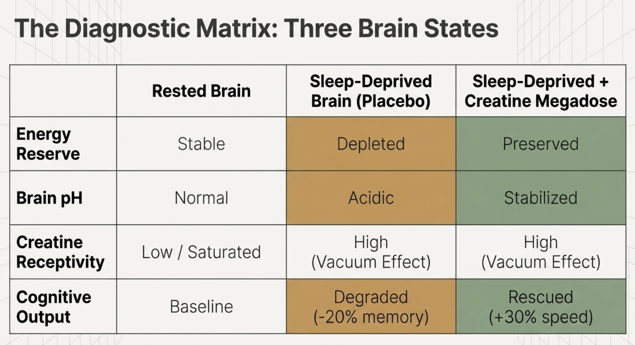 Table comparing rested, sleep-deprived, and creatine-supplemented brain states across four key metrics.