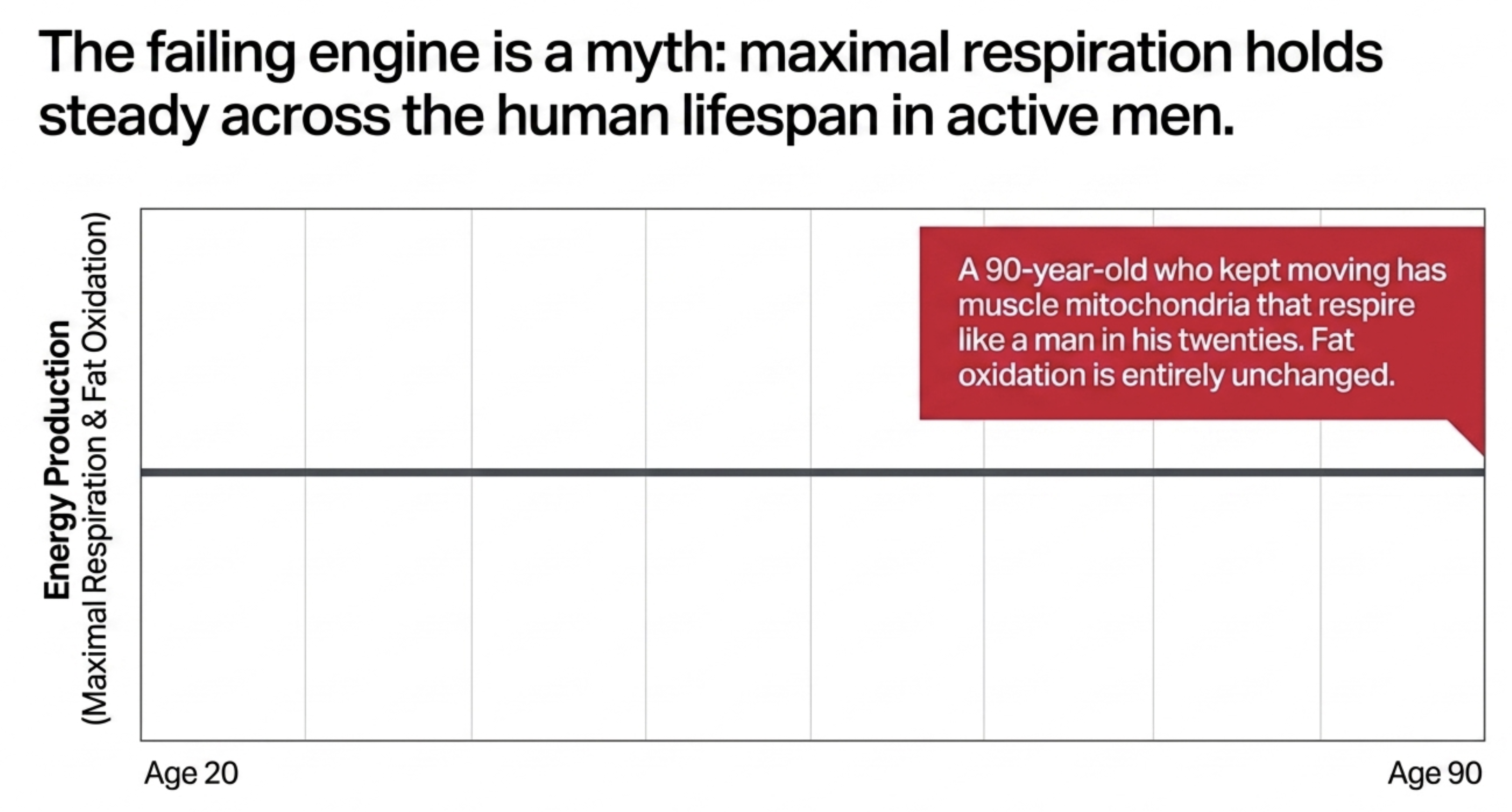 Graph showing maximal respiration and fat oxidation remain constant from age 20 to 90.