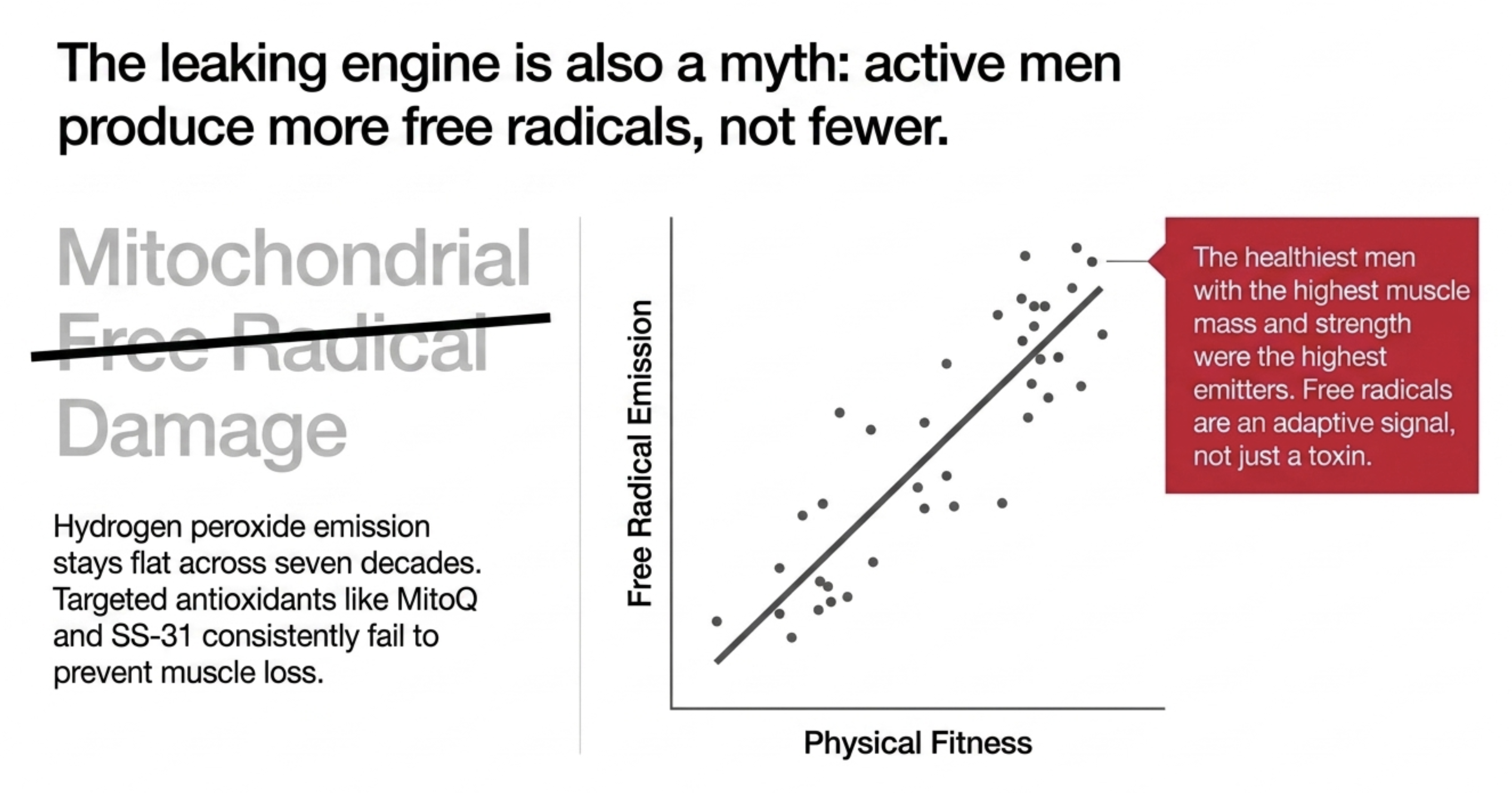 Scatter plot illustrating increased free radical emission correlating with higher physical fitness.