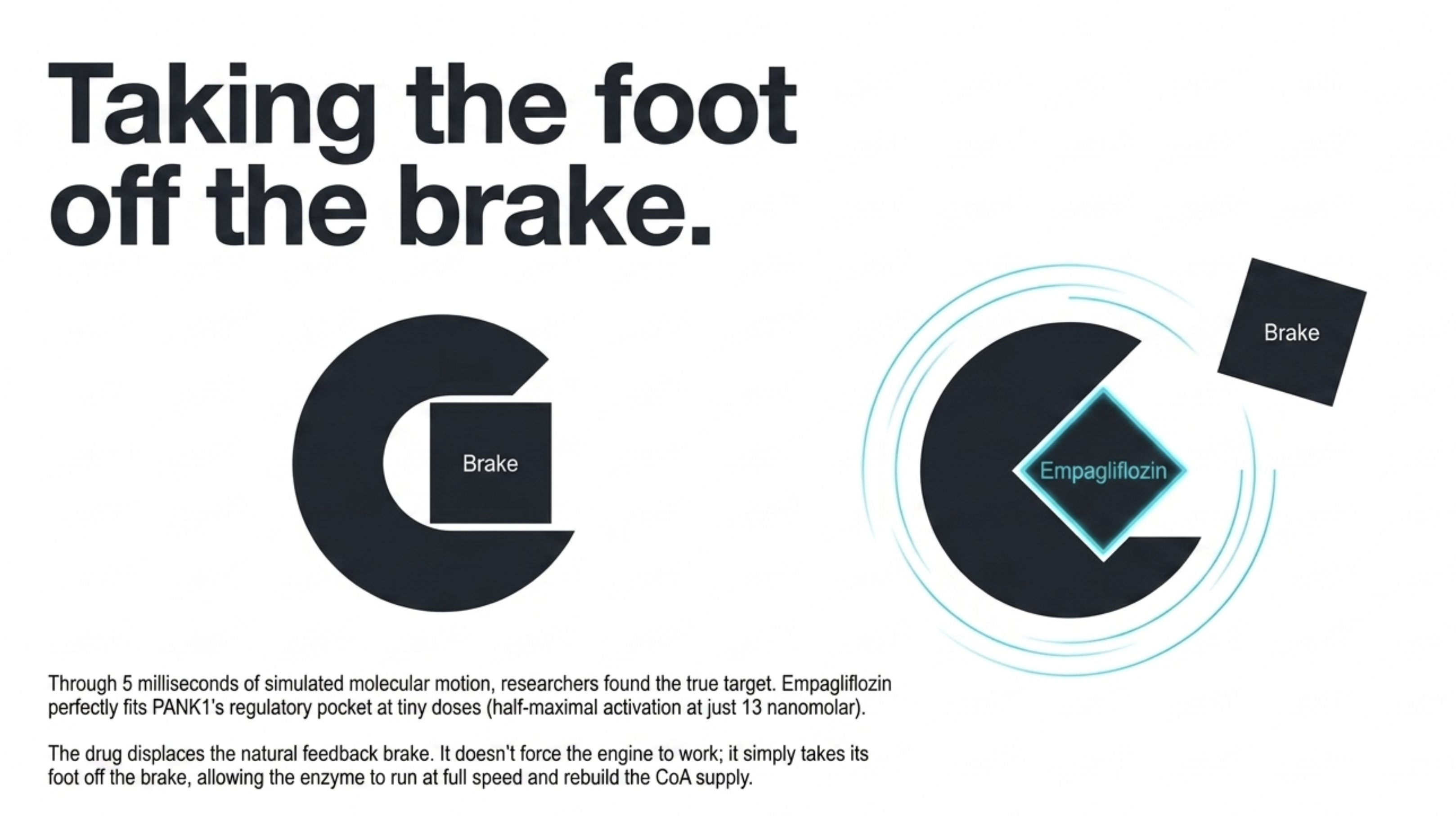 Diagrams illustrate Empagliflozin displacing a molecular brake, symbolizing 'Taking the foot off the brake'.