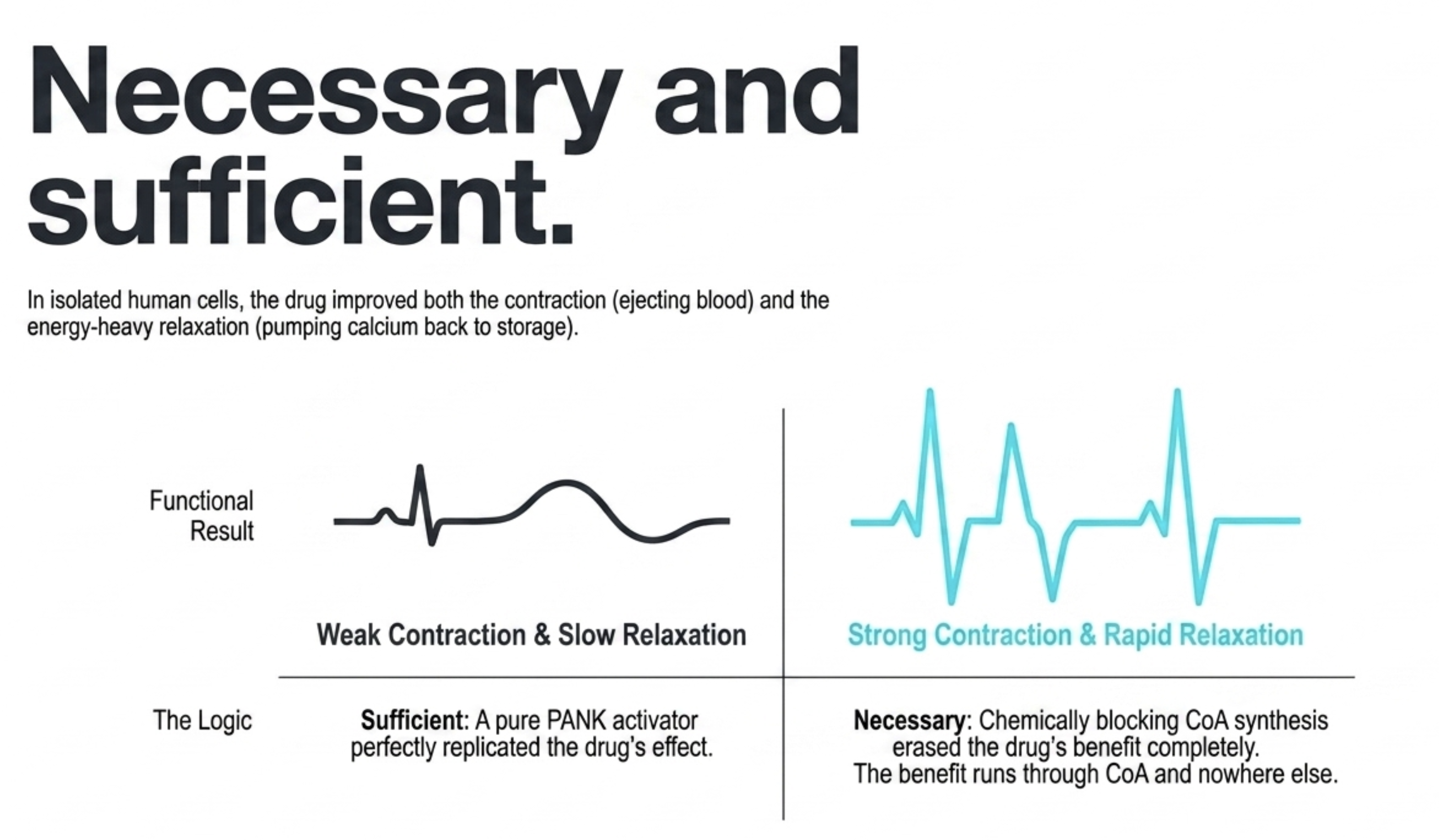Diagram comparing weak and strong heart contractions, with text 'Necessary and sufficient'.