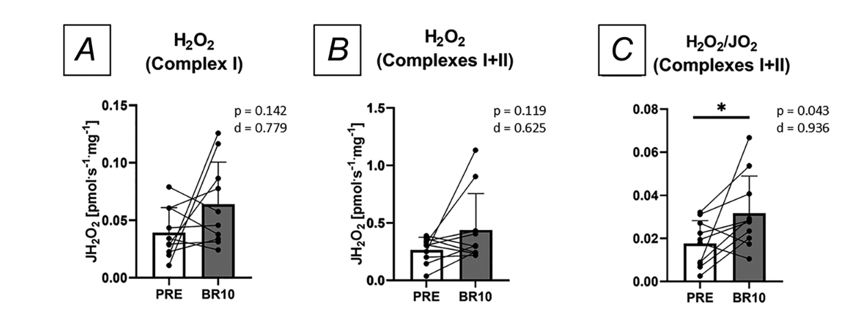 Three bar charts compare H2O2 production and H2O2/O2 ratio between PRE and BR10 conditions.