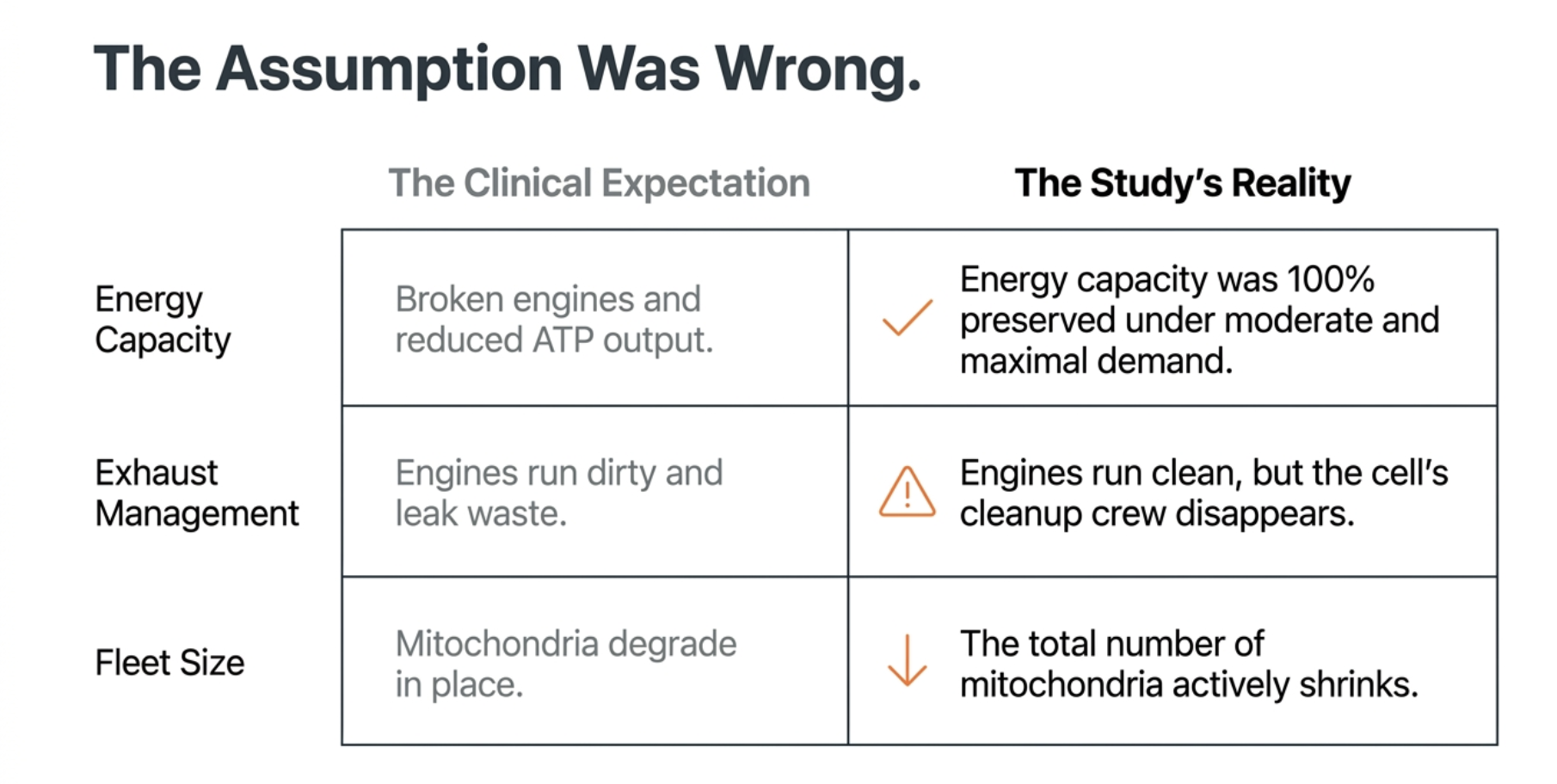 Table comparing clinical expectations with study reality regarding energy capacity and mitochondrial function.
