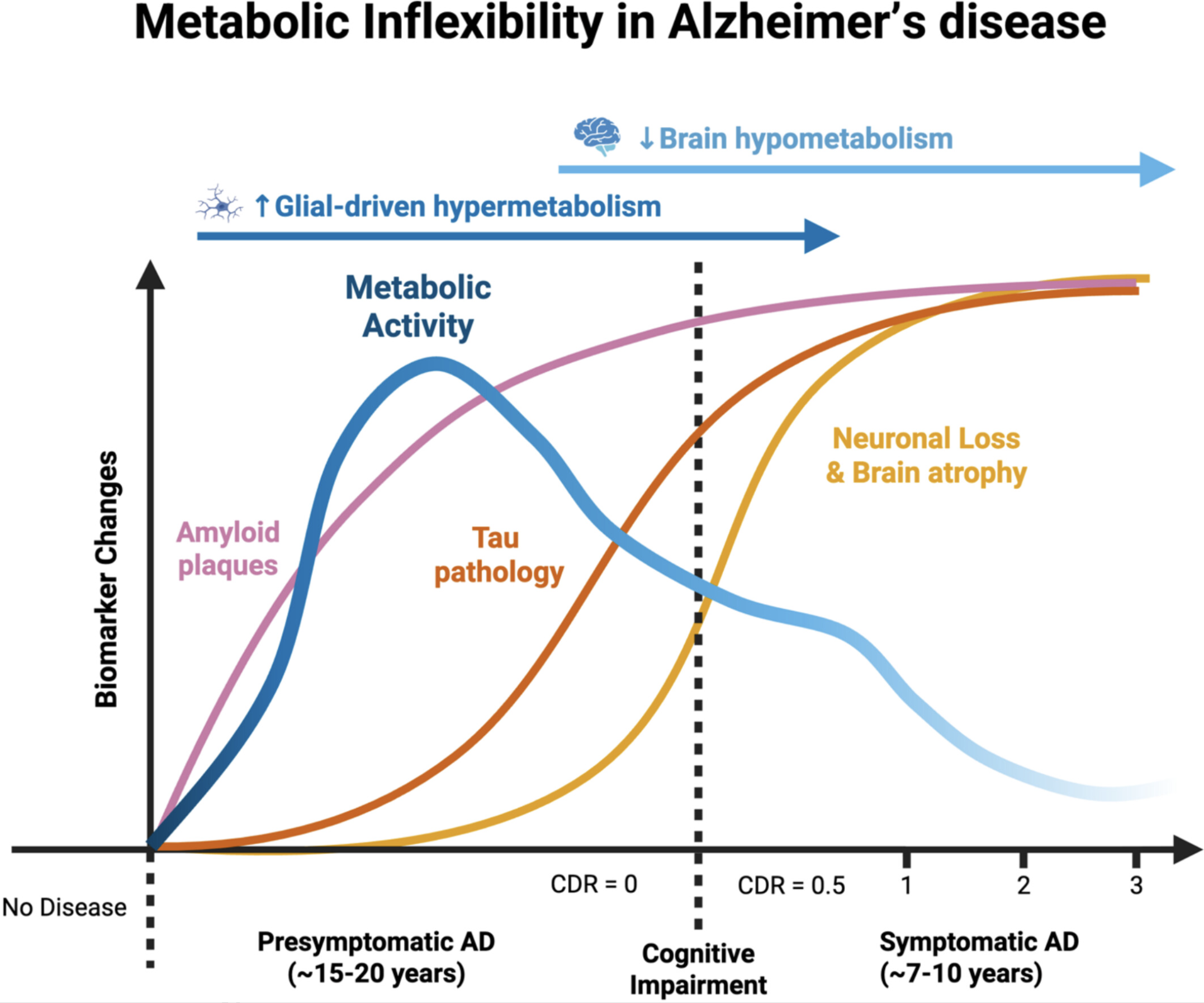 Graph showing biomarker changes and metabolic inflexibility over Alzheimer's disease progression.