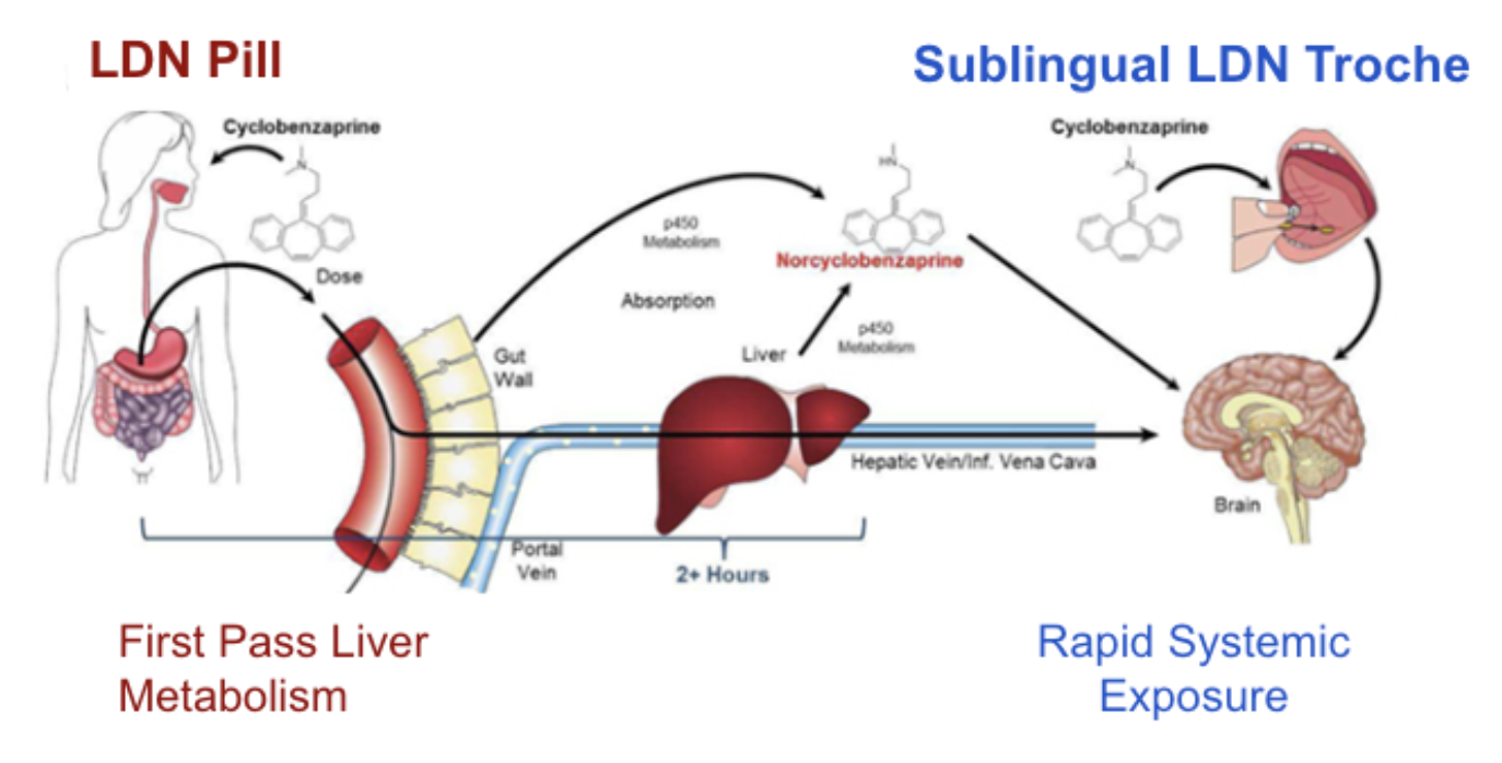 Diagram comparing oral LDN pill liver metabolism to rapid sublingual troche systemic exposure.