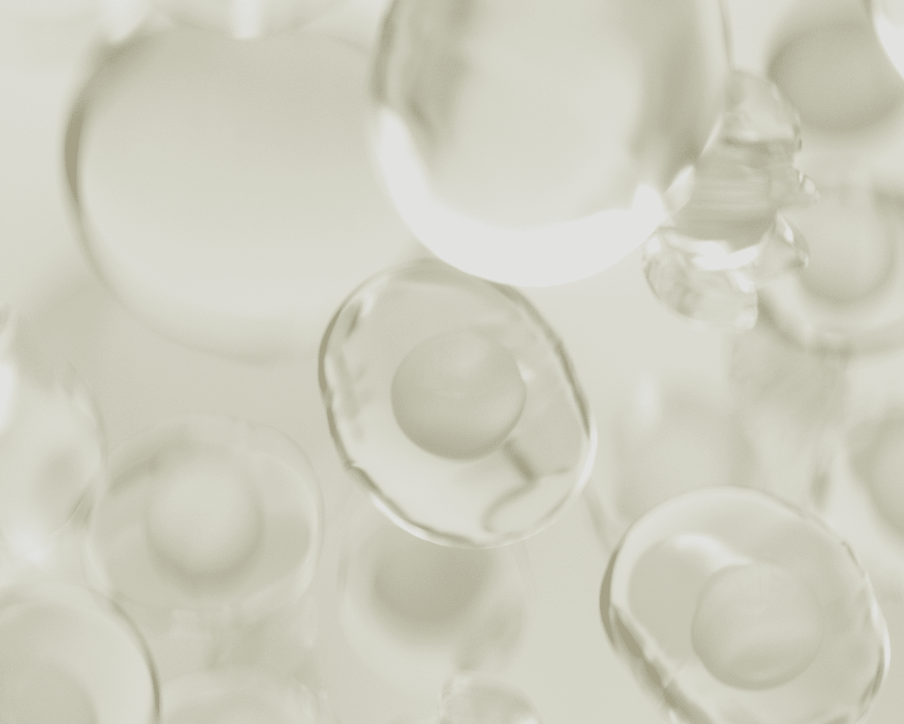 Muscle & Bone Anabolism