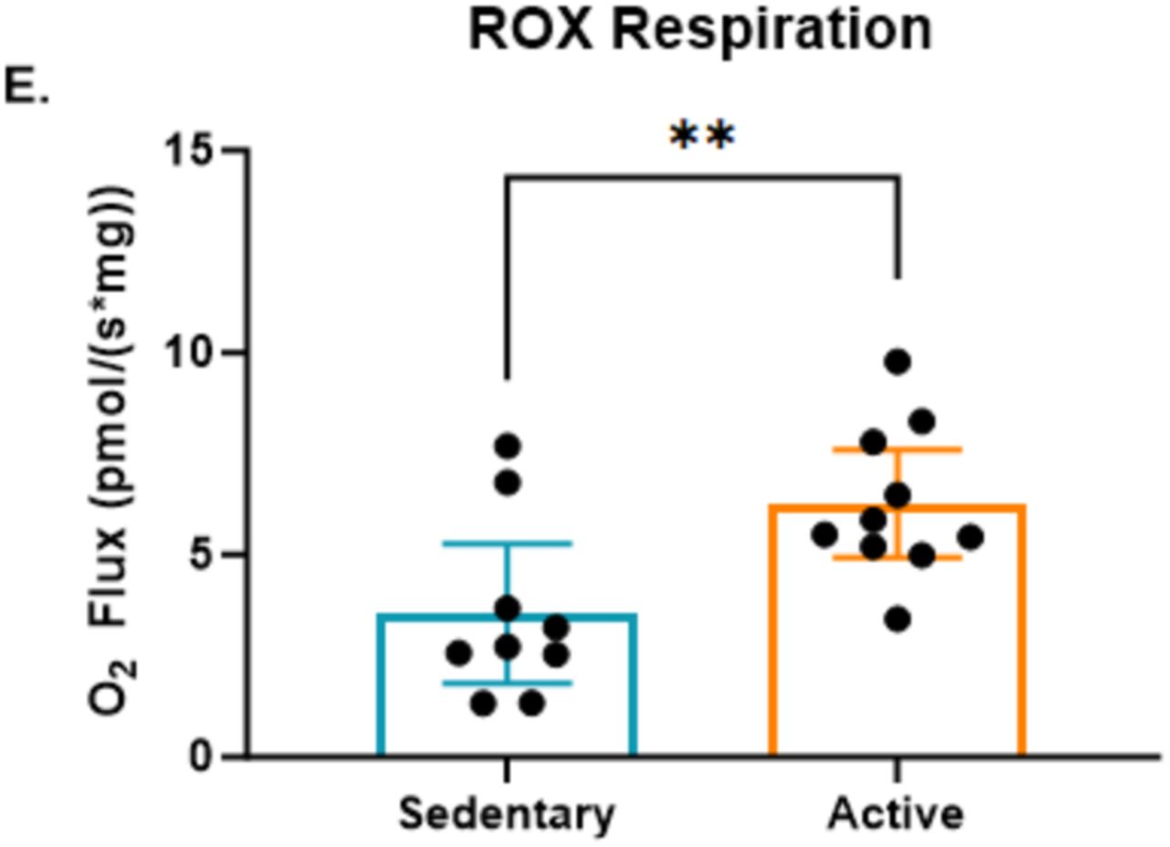 ROX Respiration