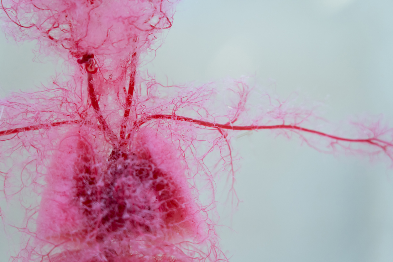 The Real Reason VO₂ Max Declines With Age — And Why It Changes How You Should Train | Healthspan