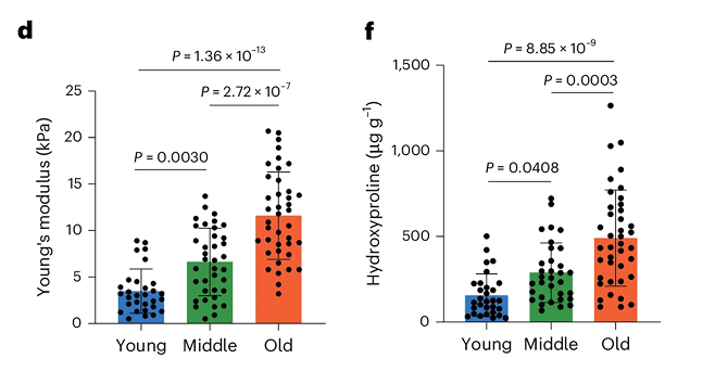 Bar charts illustrate Young's modulus and hydroxyproline levels increase significantly with age.